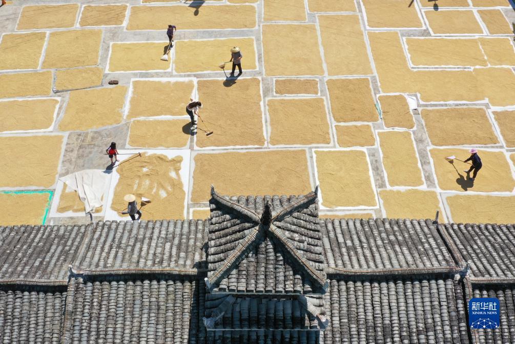 博艺堂官网登录